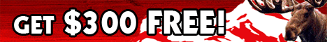 Play online at Maple Casino