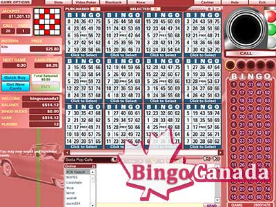 Online Bingo - Play Online Bingo Games - Free $25 Only at Bingo Canada