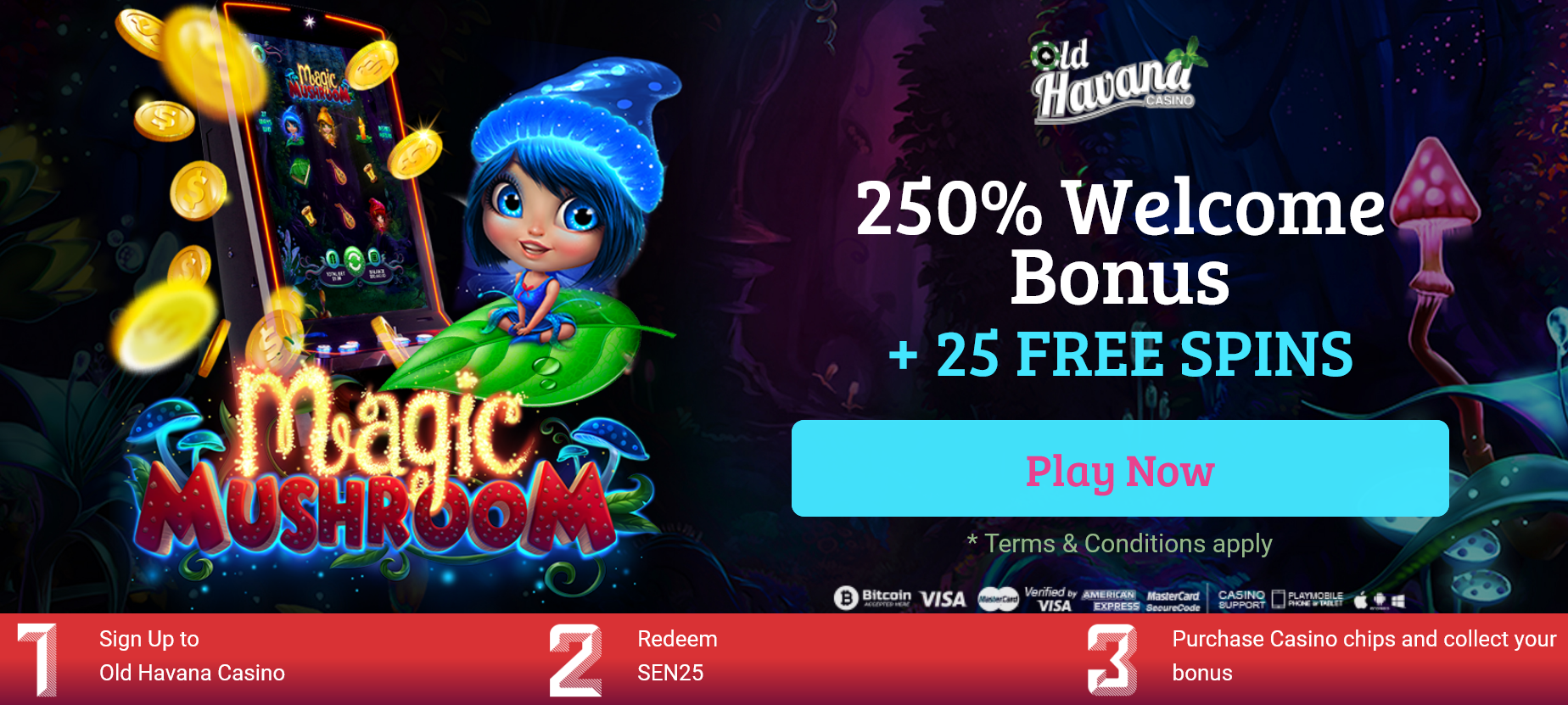 250% WELCOME BONUS + 25 FREE SPINS